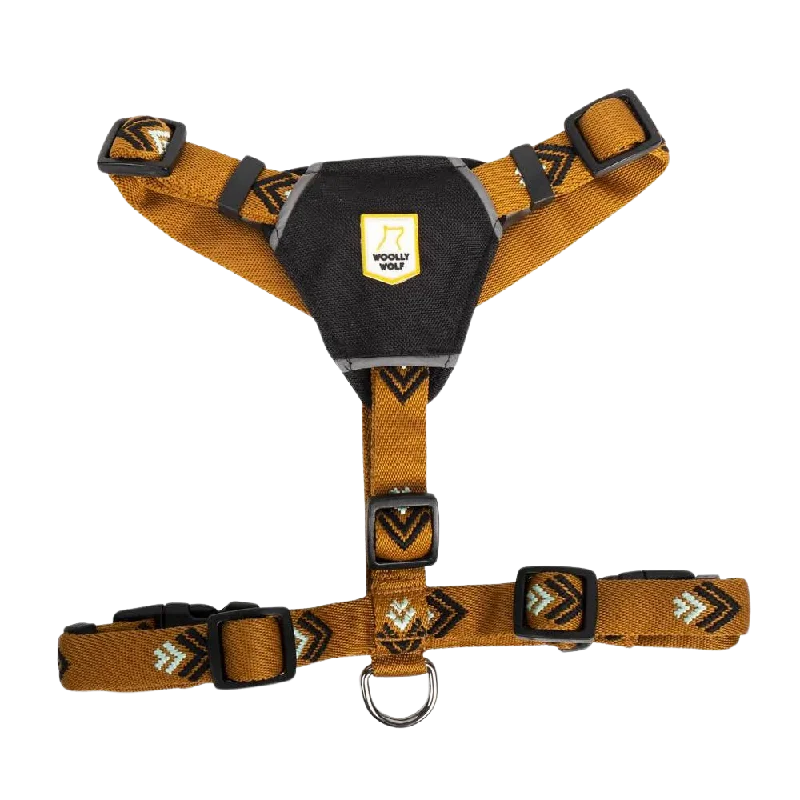 Sea to Summit Harness