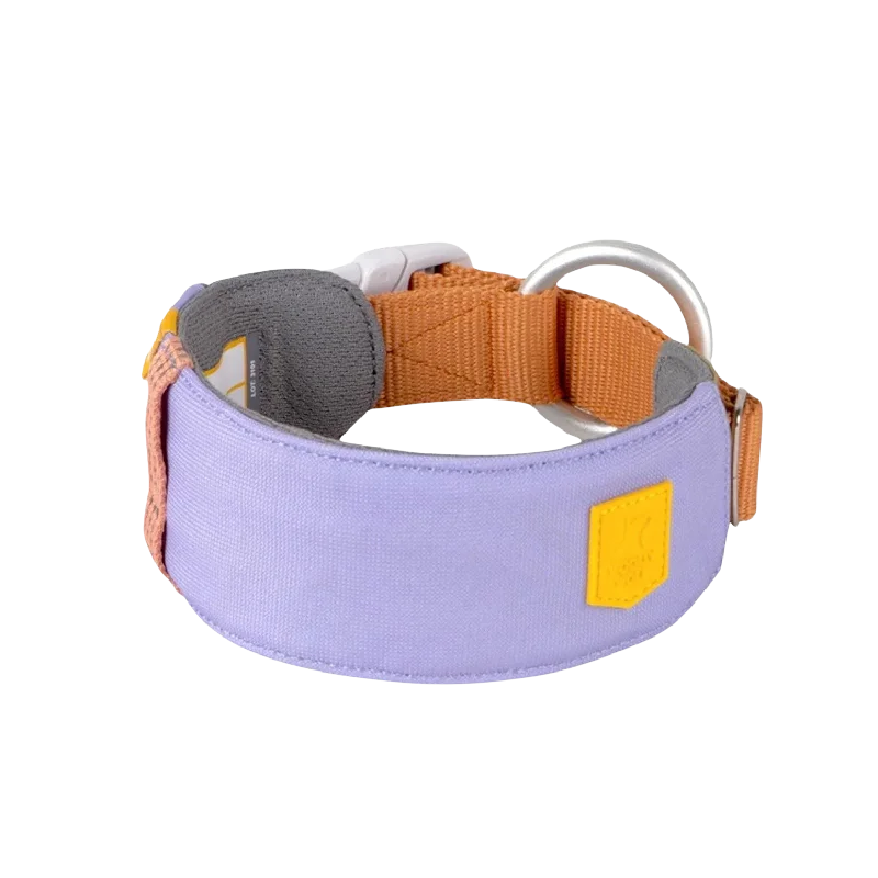 【PRE-ORDER】ALPHA 360 COLLAR - Lavender