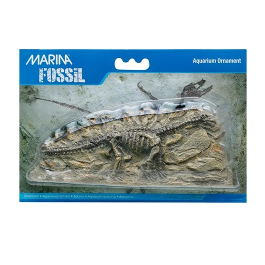 Marina Decorative Fossil Brontosaurus