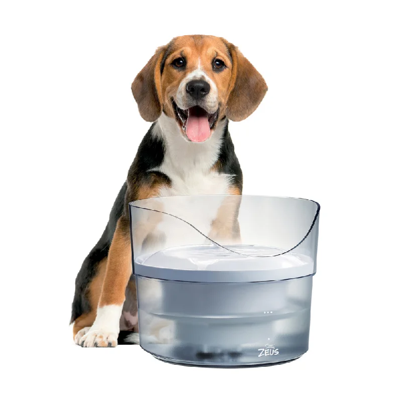 Zeus Drinking Fountain - Fresh & Clear - with Splash Guard